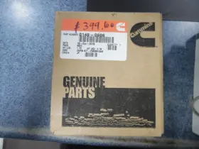 0146-0666 Cummins Cummings Onan Carb Kit