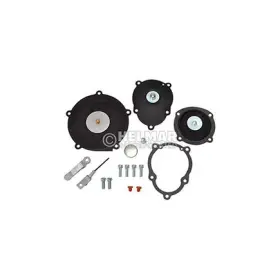 60-rbk Impco Liquid Propane Gas Lpg Low Pressure Regulator Kit For T60