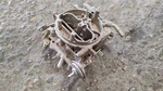 Holley Carburetor Two Barrel 360 400 Mopar 73 74 75 76 77 78 Used. Price: $76.99.
