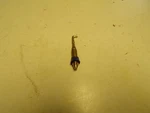 60-9 Corvair Rochester Carburetor Accelerator Pump With Viton Cup New. Price: $15.00.