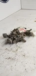 Carburetor 6-181 3.0L Id 17085194 Fits Century 651015 Used. Price: $57.00.