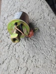 Onan 149-2646 Low Pressure Electric Fuel Pump 12V A047N911 Cummins Generator New. Price: $49.99.